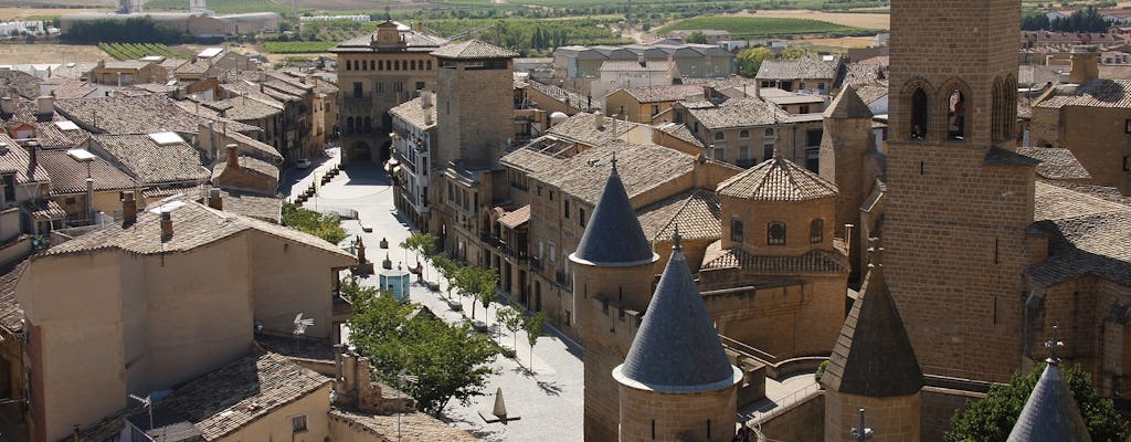Pamplona and Olite Royal Palace small-group tour from Logroño
