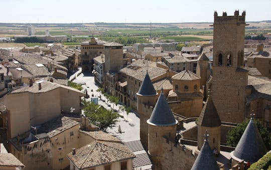Pamplona and Olite Royal Palace small-group tour from Logroño