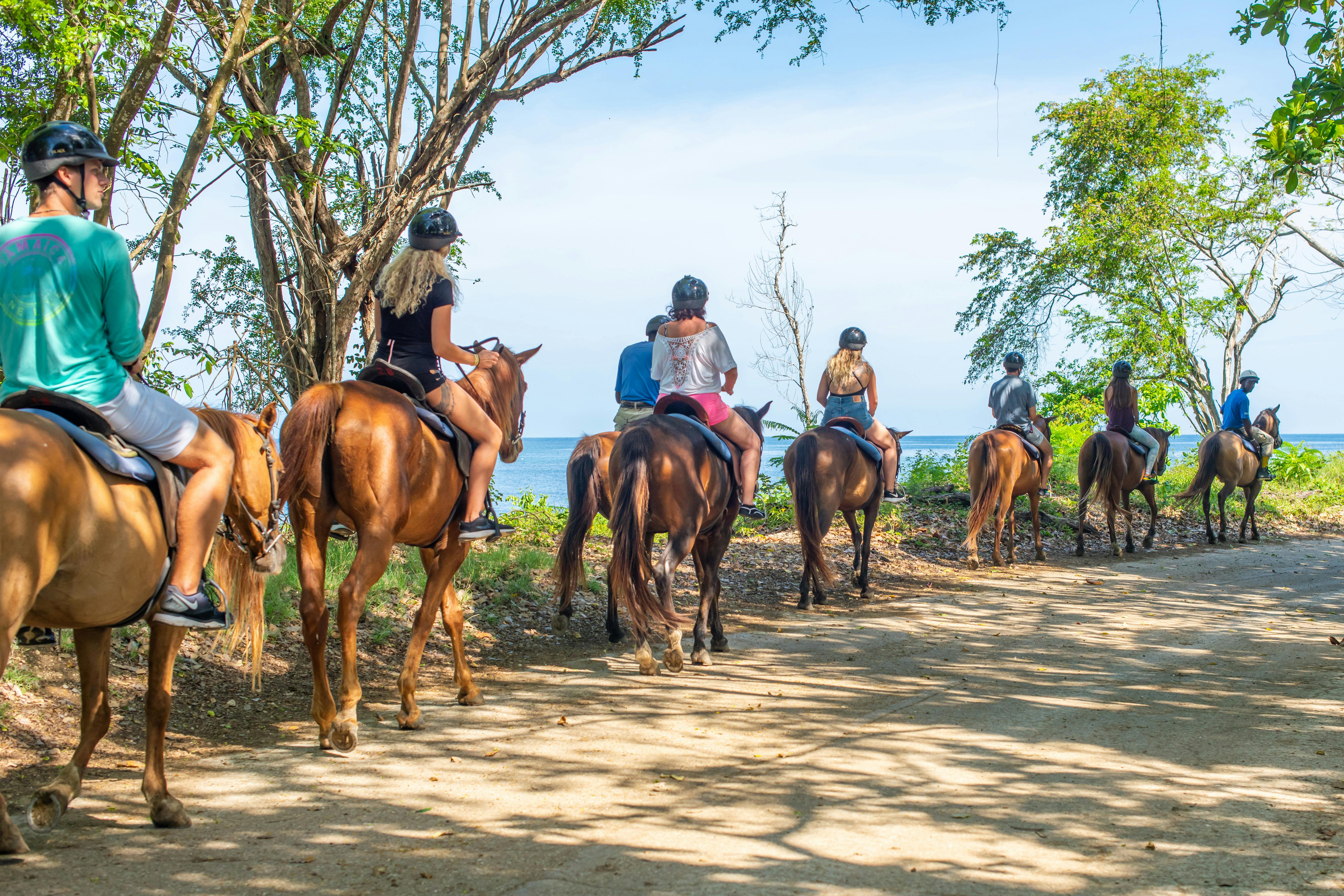 Caribbean Horse Ride & Swim