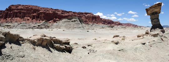 Visita guiada ao Parque Provincial Ischigualasto
