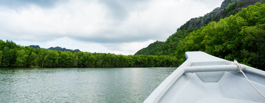 Croisière dans la mangrove au coucher du soleil