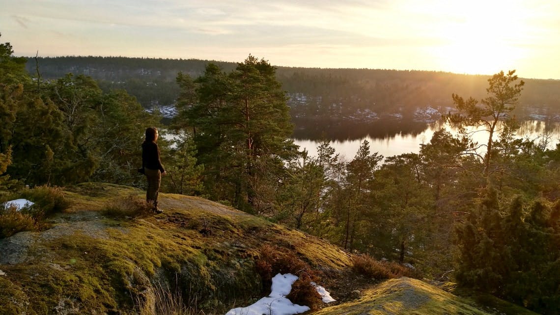 Genießen Sie ein Sommerwanderabenteuer in Stockholm