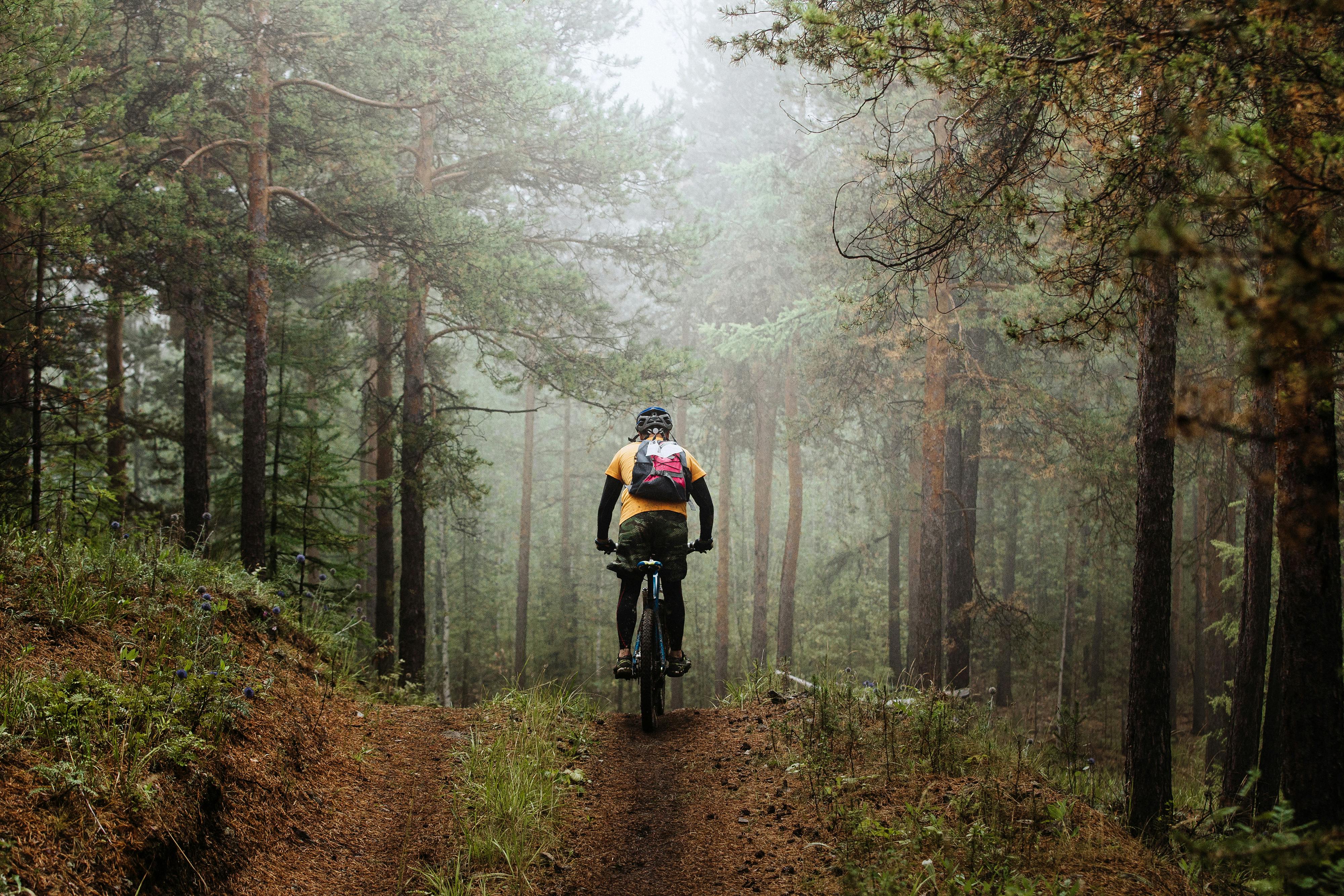 Aventura en bicicleta de montaña en el bosque sueco