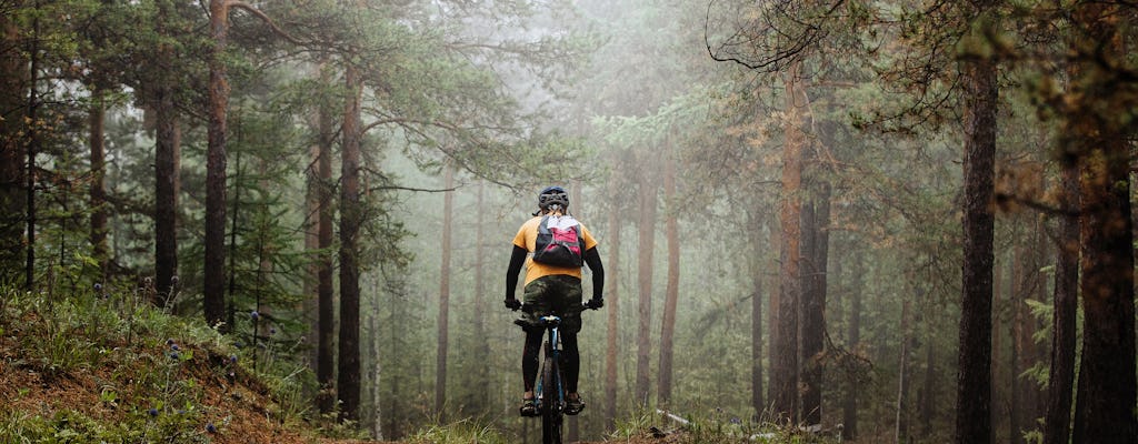 Aventura en bicicleta de montaña en el bosque sueco