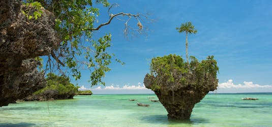 Excursão privada à Ilha de Zanzibar Uzi