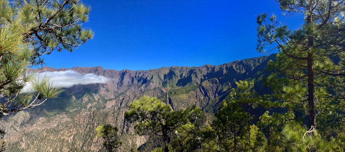 Colourful South of La Palma Tour