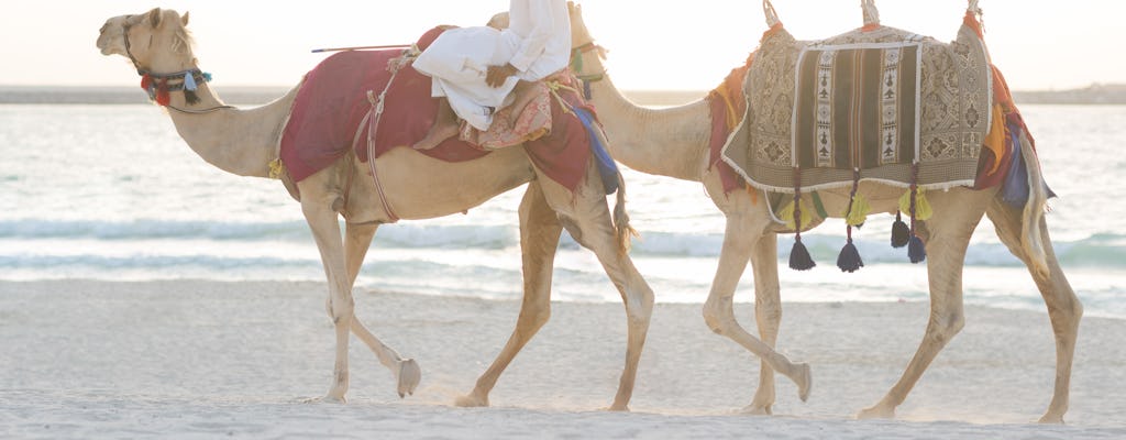 Paseo en camello al atardecer por Abu Dabi y cena de barbacoa