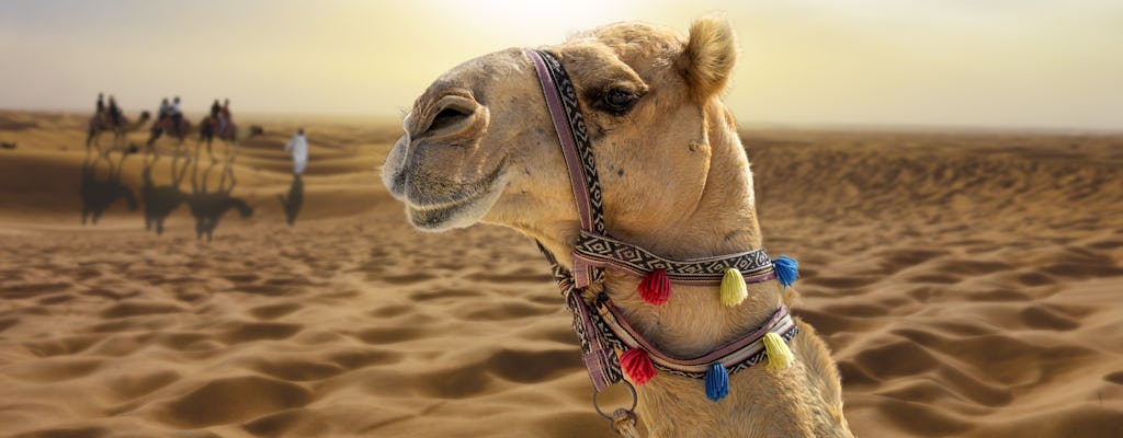 Sunset camel trek with shows and bbq at Al Khayma from Dubai