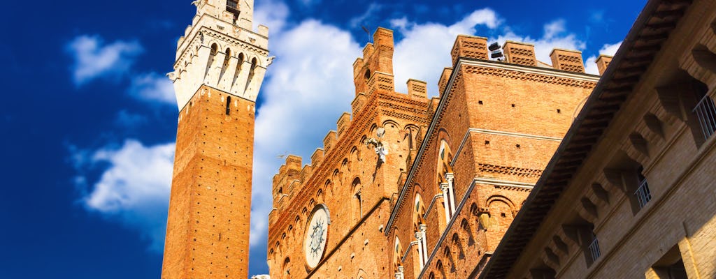 Tour privado de meio dia em Siena