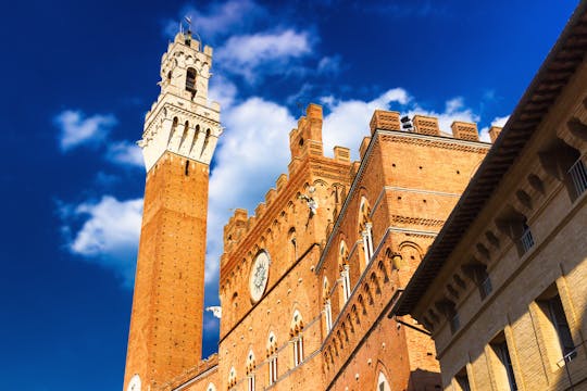 Tour privato di mezza giornata a Siena