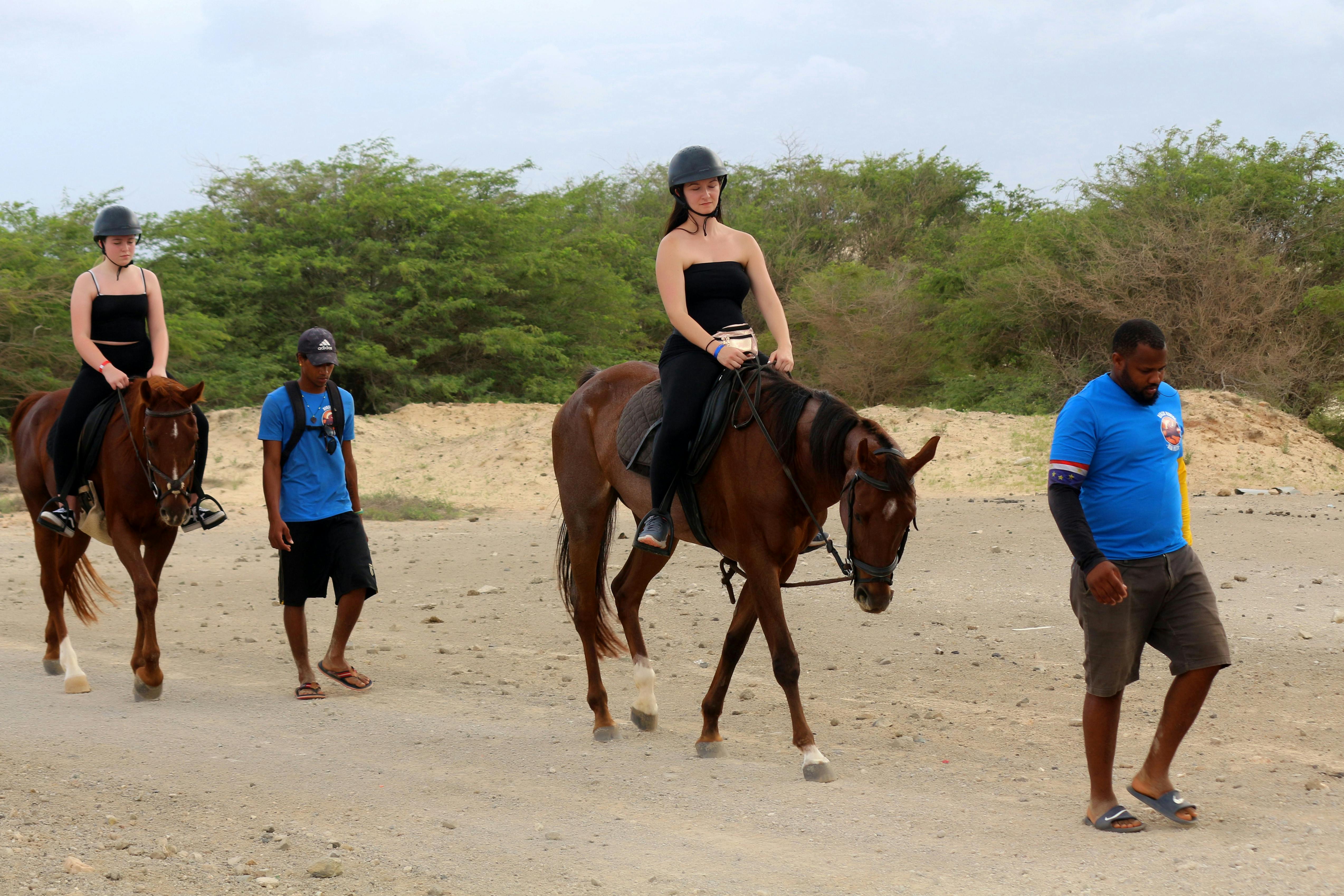 Horse Riding