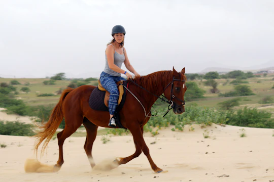 Boa Vista horse riding experience