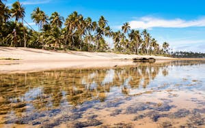 Passeios de um dia e excursões