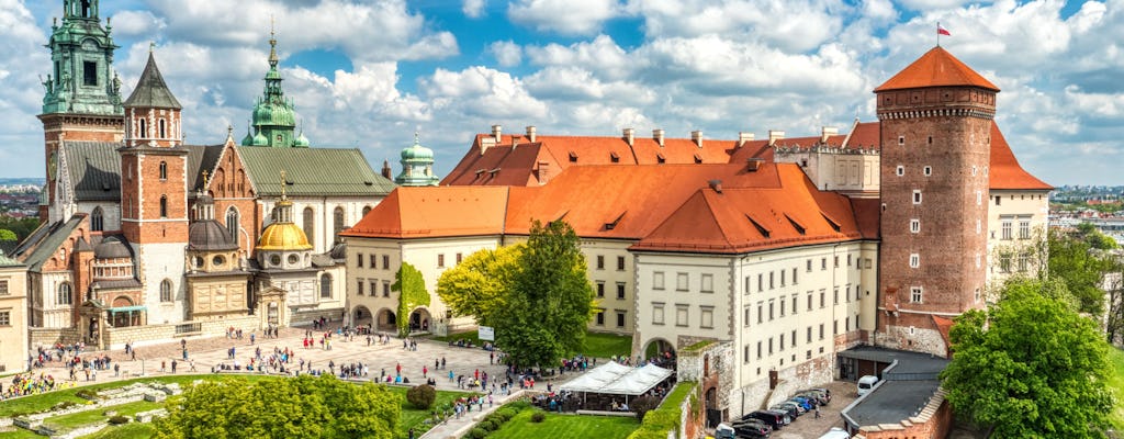 Visita audioguiada al castillo de Wawel y a la colina de Wawel