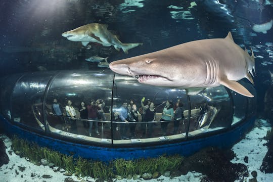 Aquarium Barcelona Ticket