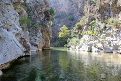 Cross-country Cayenne Tour