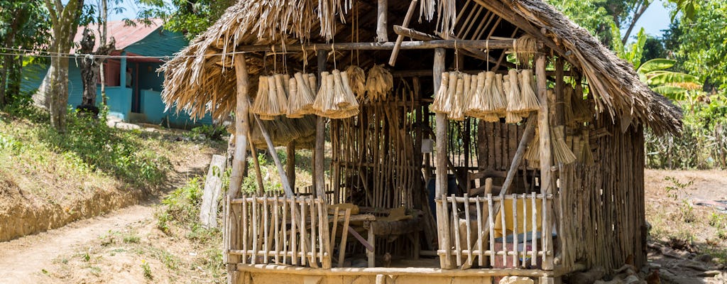 Dominican Republic farm and culture tour