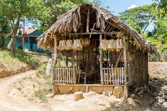 Dominican Republic farm and culture tour
