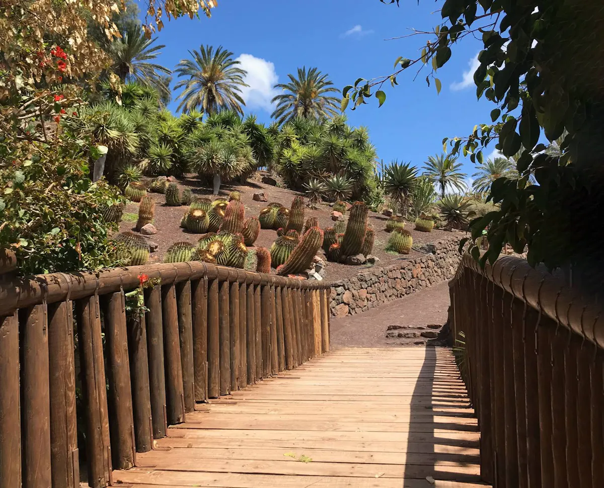 Oasis Wildlife Fuerteventura Ticket