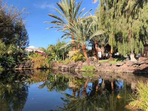 Oasis Wildlife Fuerteventura Ticket