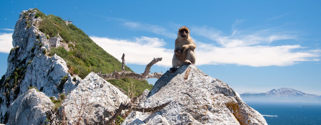 Journée d'excursion à Gibraltar avec visite du rocher en minibus