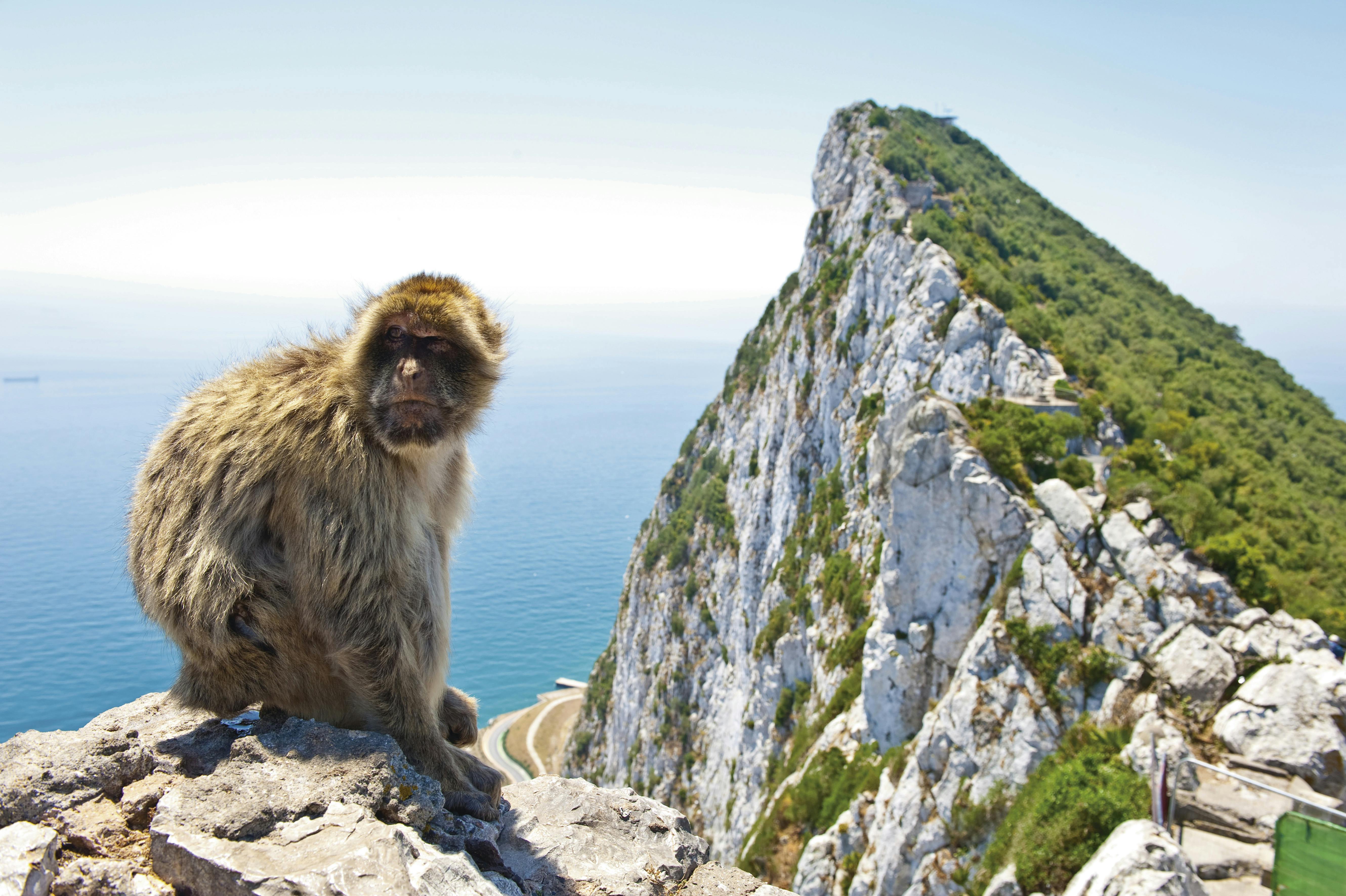 Visite de Vejer de la Frontera et de Gibraltar