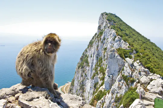 Geführte Ganztagestour durch Vejer de la Frontera und Gibraltar