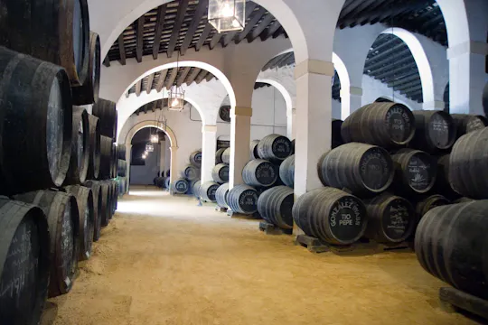 Tour durch Jerez mit andalusischem Pferdetanz und Sherry-Verkostung