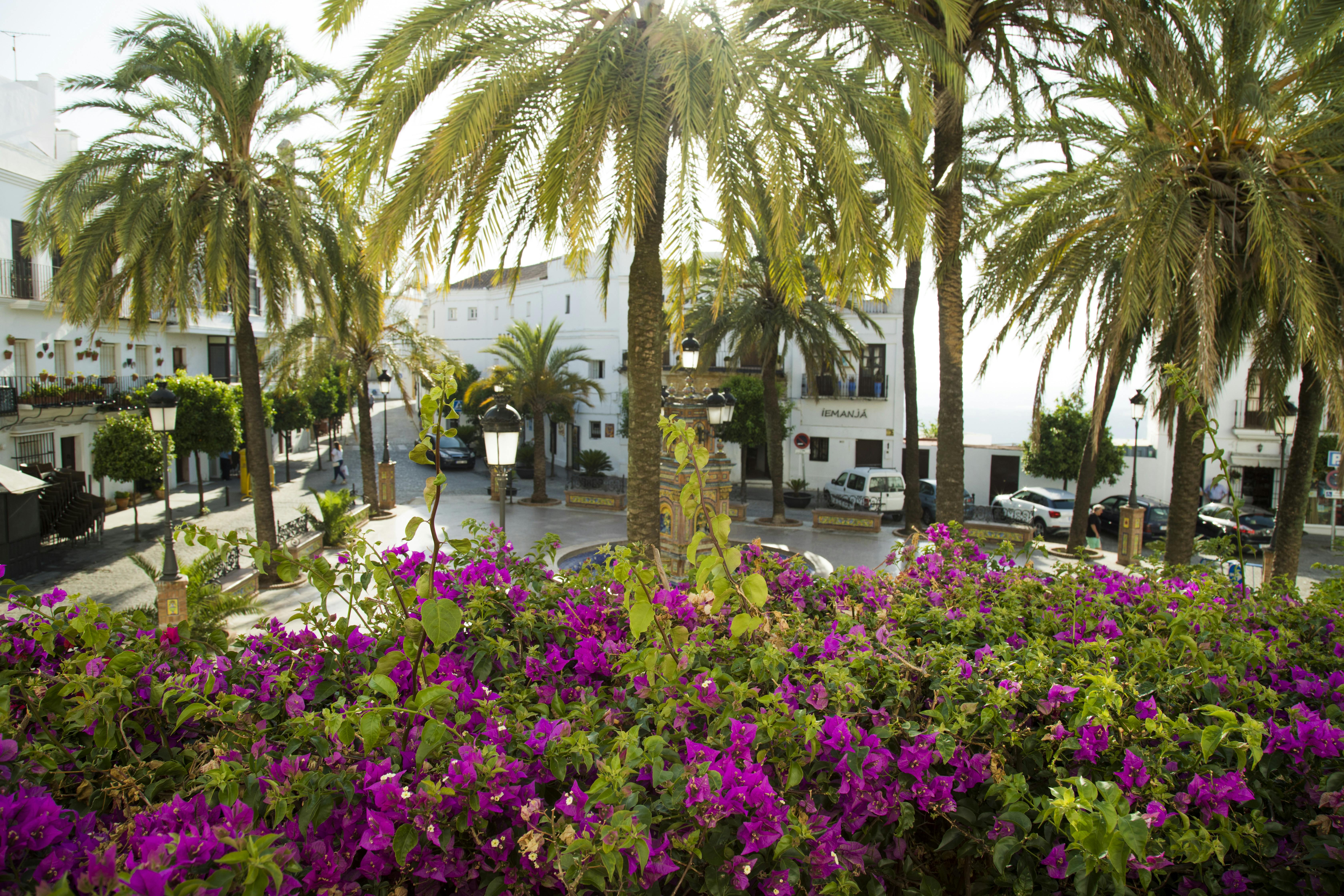 Gibraltar & Vejer shopping