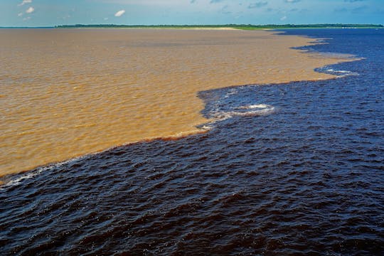 Rencontre de la promenade en bateau sur les eaux au départ de Manaus avec déjeuner