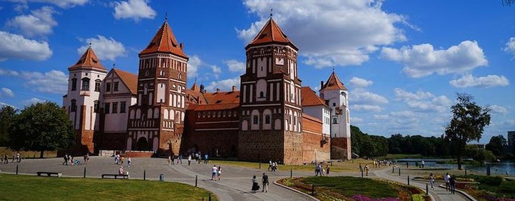 Tour privato al Palazzo Nesvizh e al Castello di Mir con autista che parla inglese da Minsk
