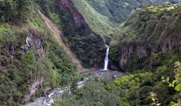 Presidente Figueiredo Waterfalls guided excursion with lunch