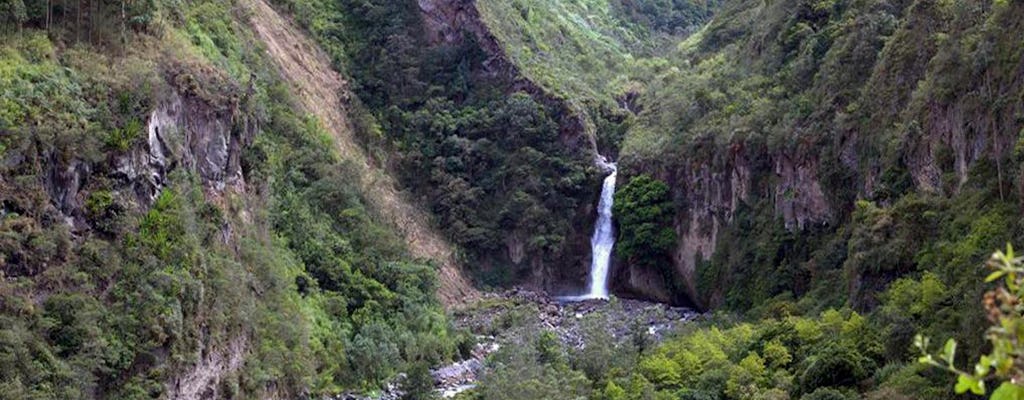 Visite guidée des cascades du Presidente Figueiredo avec déjeuner