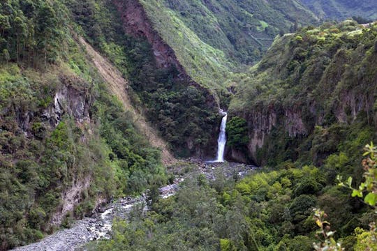 Presidente Figueiredo Waterfalls guided excursion with lunch