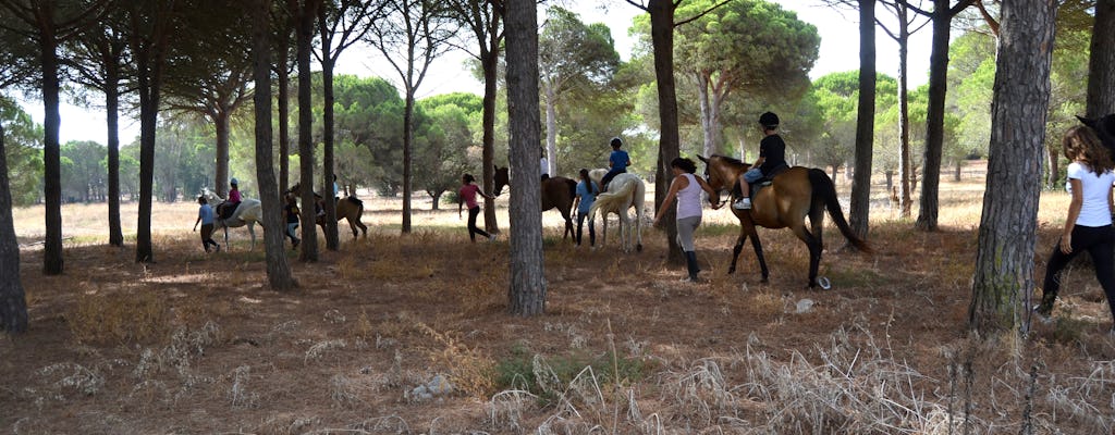 Chiclana Pine Wood Horse Ride