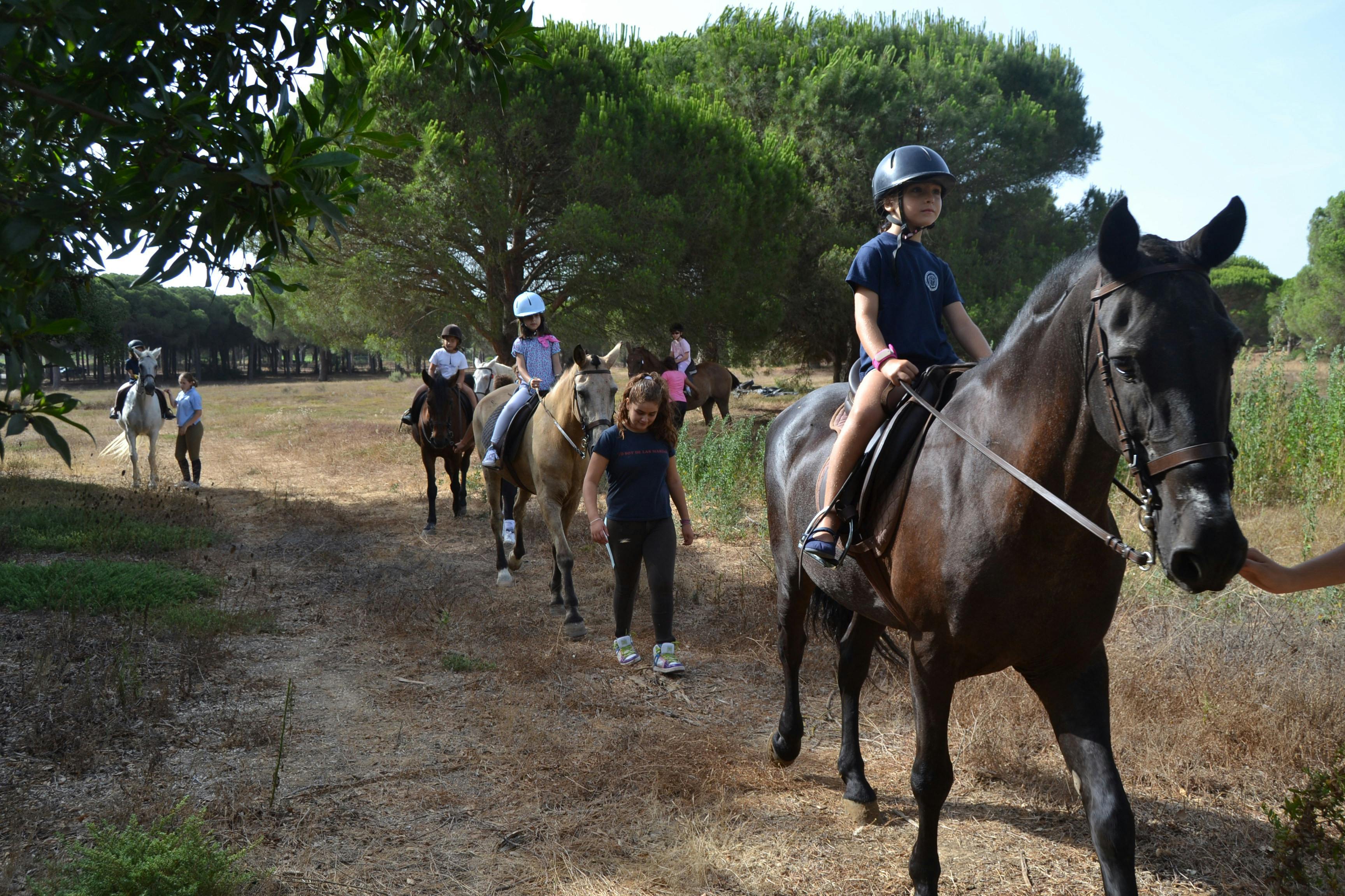 Chiclana Horse Riding Tour