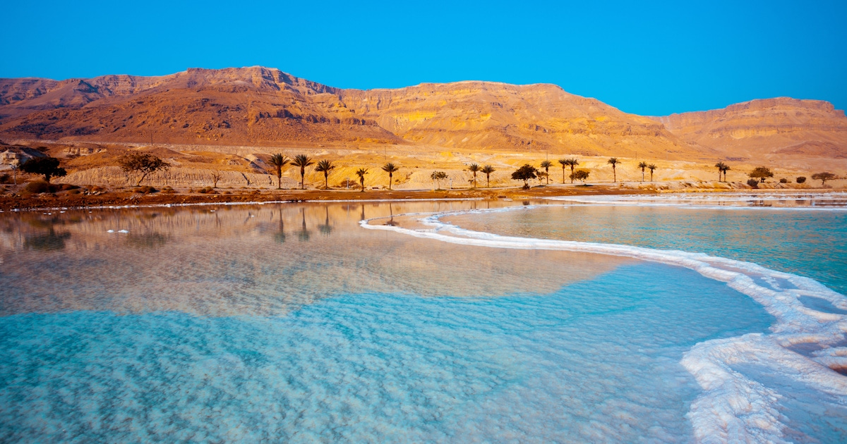 Dead Sea Guided Tours Activities and Day trips  musement