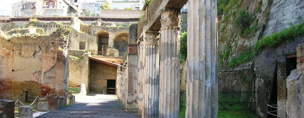 Visita guiada por Herculano com um arqueólogo