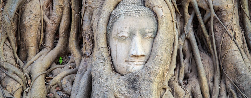 Ayutthaya Day Tour by Coach and Cruise
