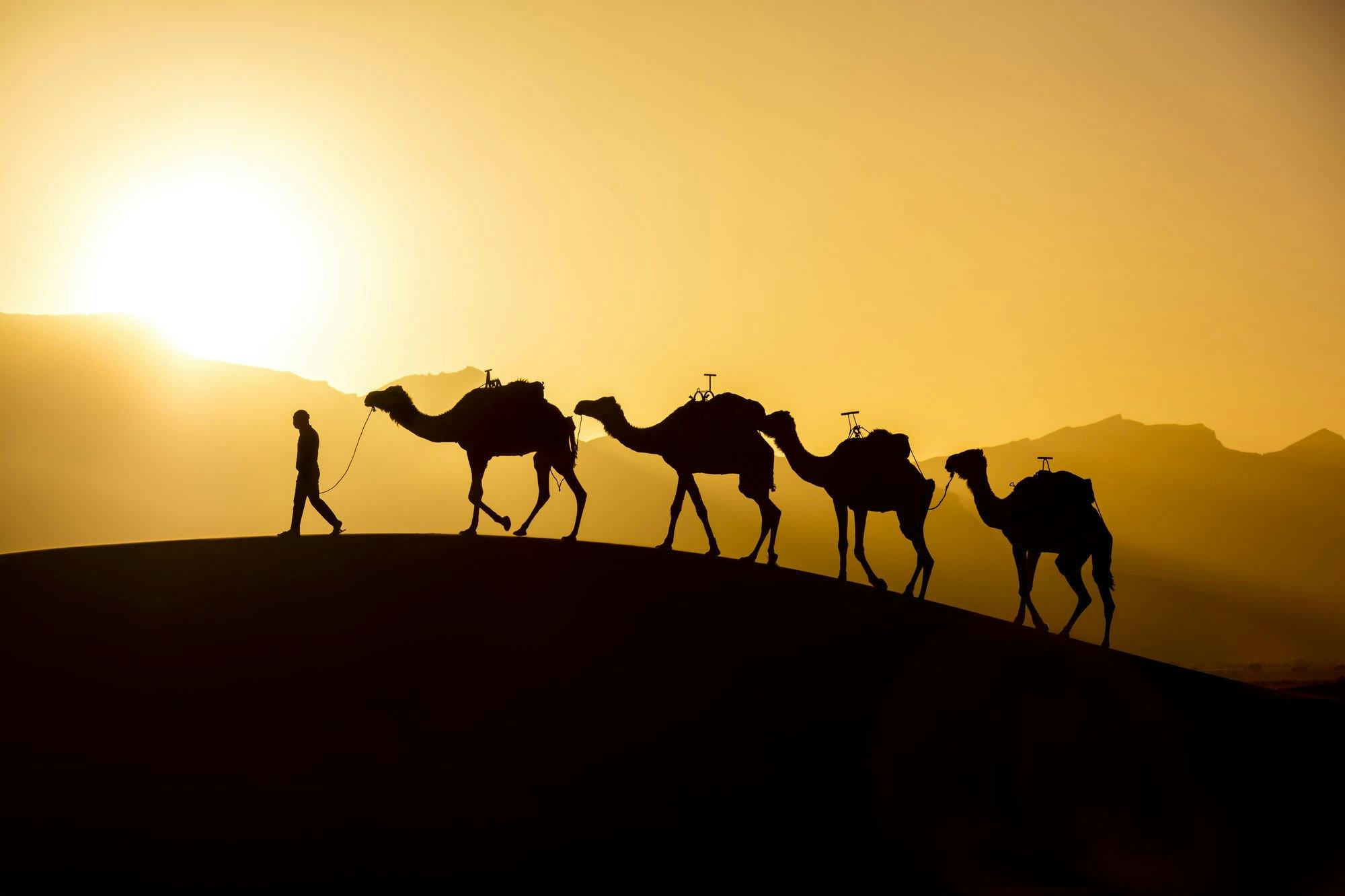 Wieczorny grill i przejażdżka wielbłądem w Agadirze
