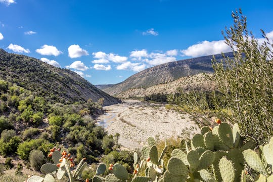 High Atlas Flavours 4x4 Tour