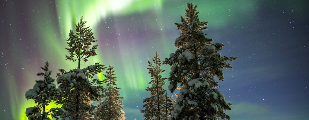 Hunt the northern lights during a snowmobile tour including a picnic