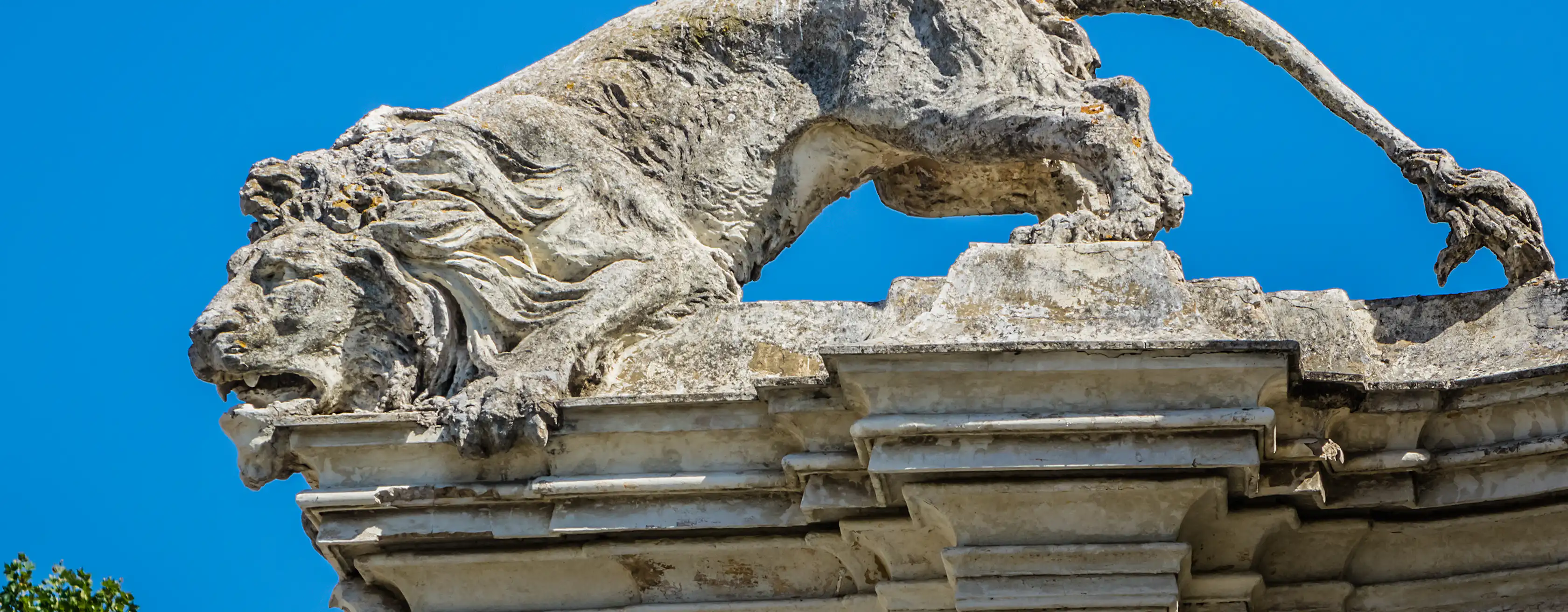 Zoölogie Museum Rome tickets en tours