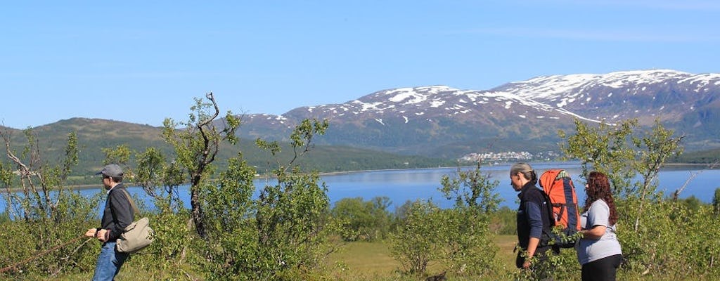 Enjoy a husky trekking trip