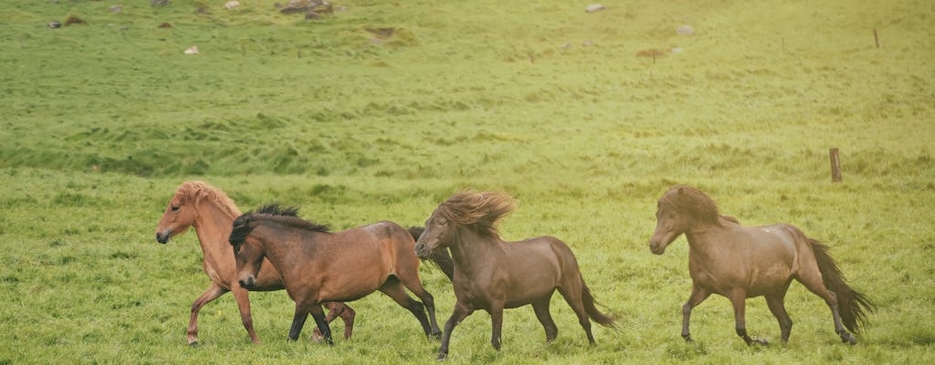 Excursion à cheval dans les montagnes et Medows