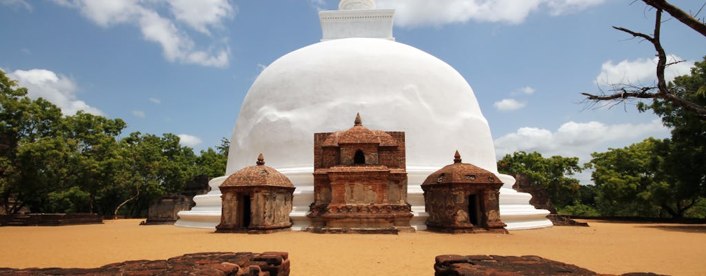 Polonnaruwa jednodniowa wycieczka z Negombo