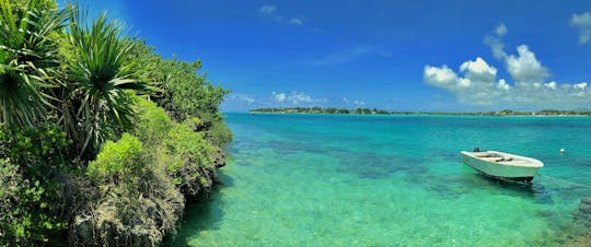 Ile Aux Aigrettes flora en fauna tour van twee uur