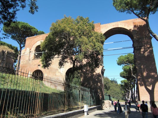 Roma imperial: visita guiada al Coliseo, el Foro Romano y el Monte Palatino