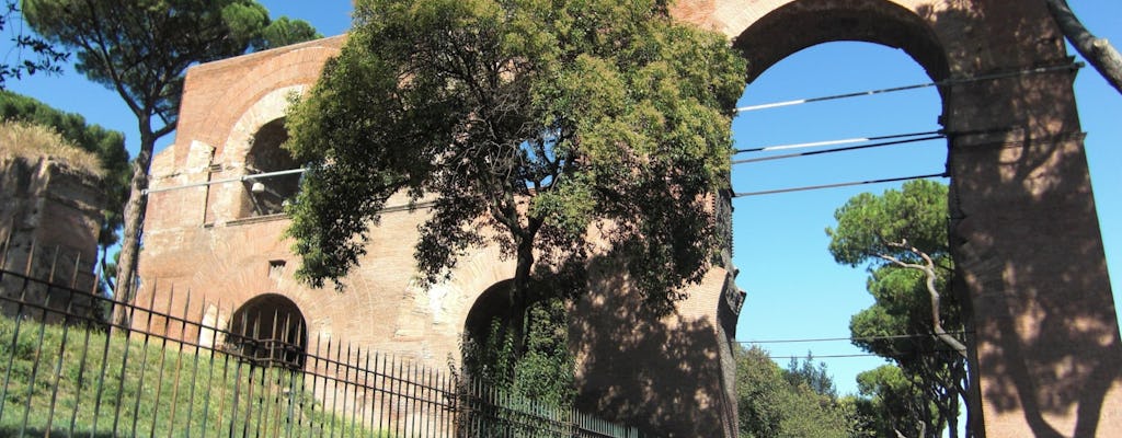 Roma imperial: visita guiada al Coliseo, el Foro Romano y el Monte Palatino