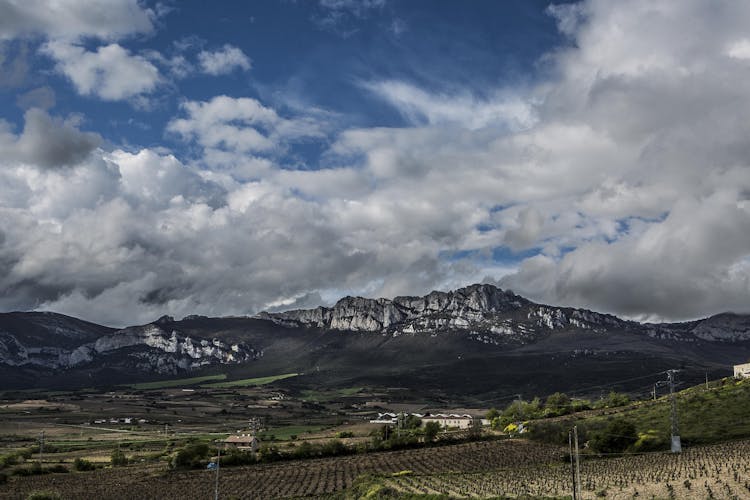 Winery visit in La Rioja with tasting and traditional lunch from Logroño